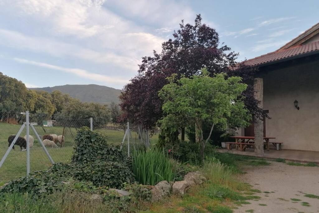 Casa Namaste - Ortigosa Del Monte Villa Exteriör bild